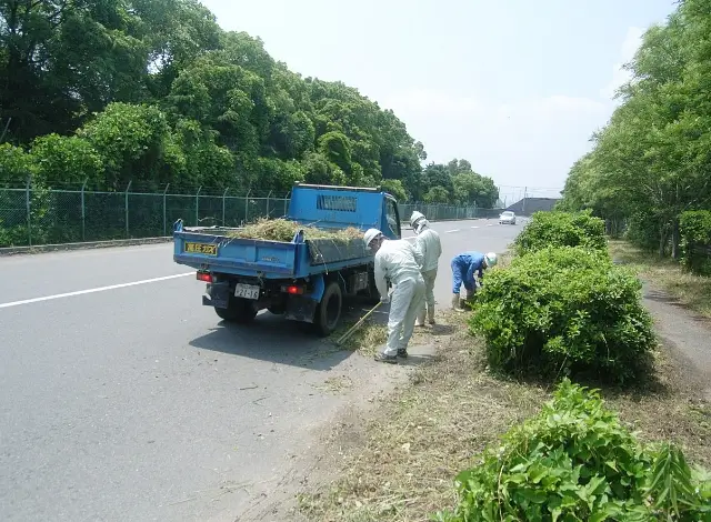 道路美化活動